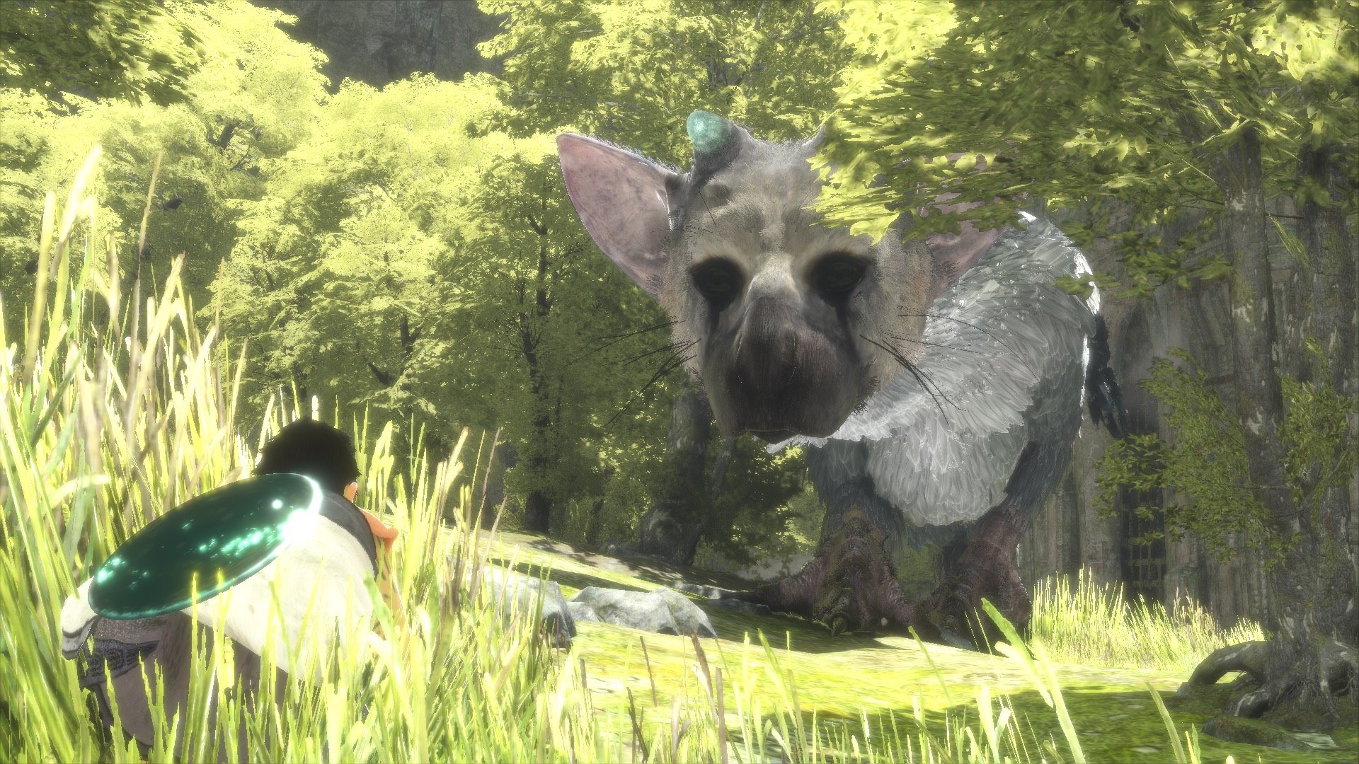 تصاویر جدیدی از بازی Last Guardian منتشر شد