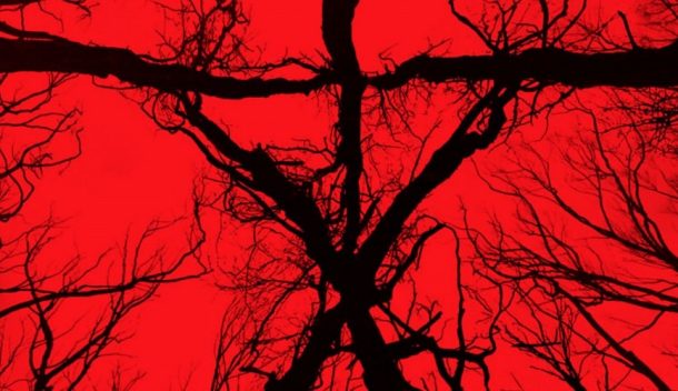 blair-witch-2016-trailers-posters