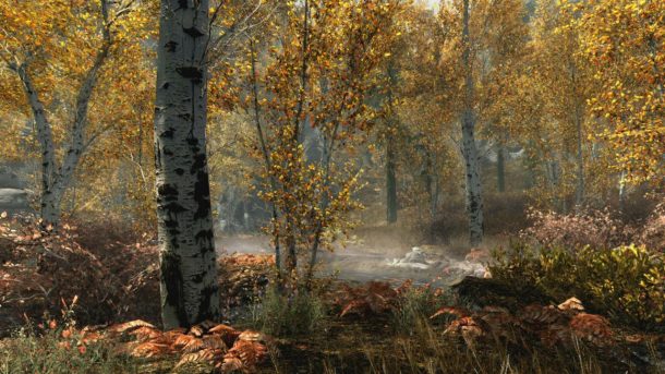 3077755-skyrimspecialeditionfallforest_1465779409