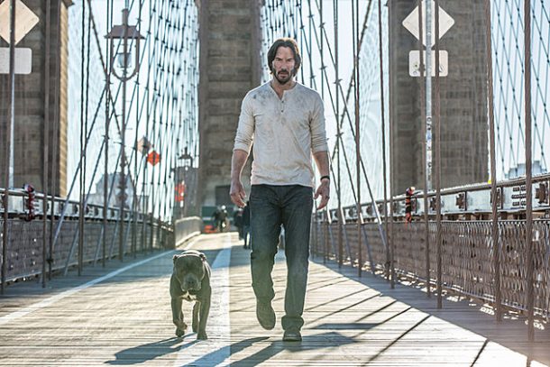 john-wick-2-dog