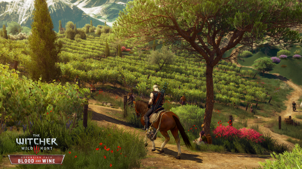 en-the_witcher_3_wild_hunt_blood_and_wine_vineyards_vineyards_everywhere