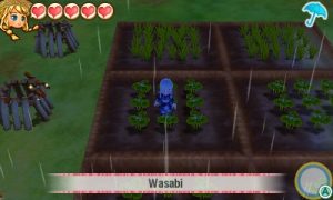 تصاویر جدیدی از بازی Story of Seasons