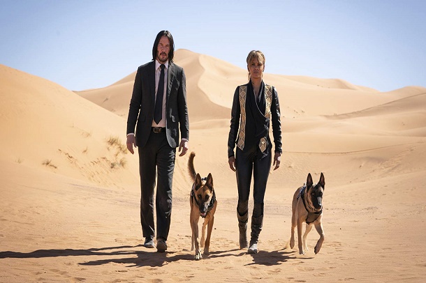 حضور هلی بری در فیلم John Wick: Chapter 3 سطح انتظارات را یک دوز بالا برد