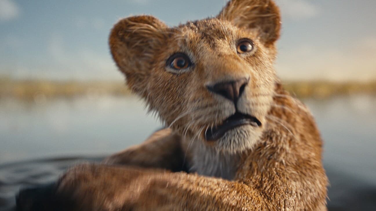همه چیز درباره فیلم Mufasa: The Lion King 