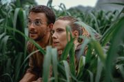 بازگشت دایناسورها به گیشه؛ فروش جهانی Jurassic World Rebirth از ۳۰۰ میلیون دلار گذشت