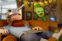 سیستم مورد نیاز Plants vs. Zombies Replanted اعلام شد؛ آیا کامپیوتر شما آماده است؟
