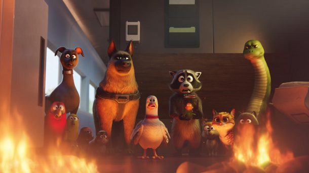 نقد انیمیشن Pets on a Train