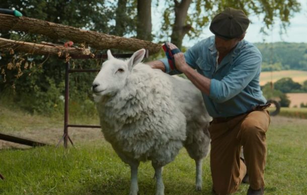 نقد فیلم گوسفندان کارآگاه - The Sheep Detectives