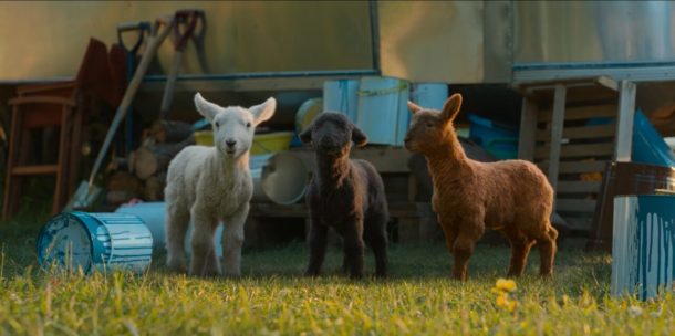 نقد فیلم گوسفندان کارآگاه - The Sheep Detectives