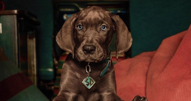نتفلیکس تصویر جدید Scooby-Doo: Origins را منتشر کرد
