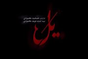 پخش سریال «یل» از جمعه ۱۷ مهر؛ معمای جنایی جدید خالق «پوست شیر»